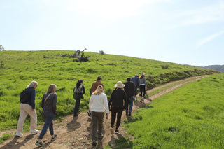 Behind-the-Scenes Private Hike