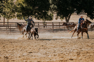 Folded Hills x Alisal Ranch Rodeo