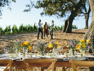 Vineyard Viewing Deck
