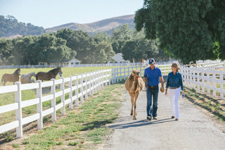 VIP Off-Road Ranch Tour