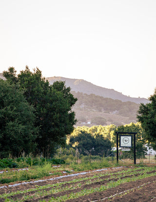 A Weekend in Wine Country...