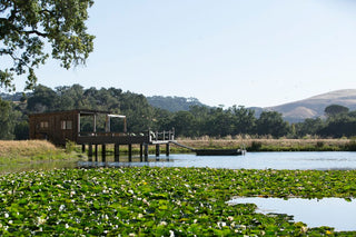 Lakeside Tasting