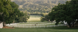 The Owner's View: A Private Porch & Pool Experience