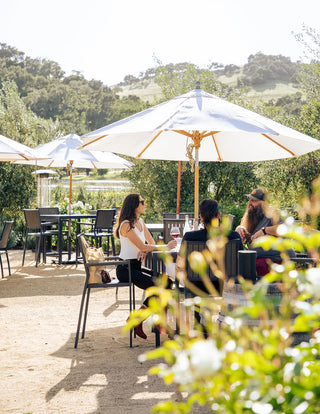 Why Folded Hills might be the best boutique winery you've never heard of....