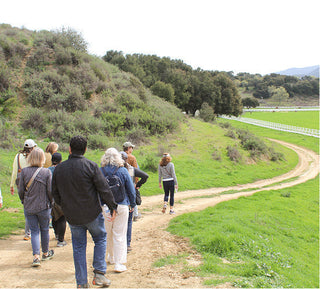 Vineyard and Ranch Hike with Wine Tasting, May 23