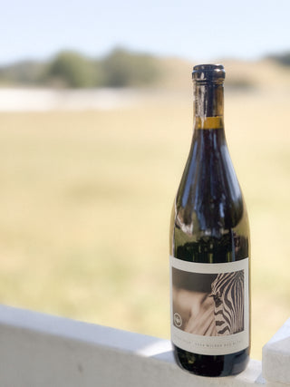 2024 Wilder Red Blend