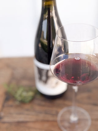 2021 Polo Reserve Syrah