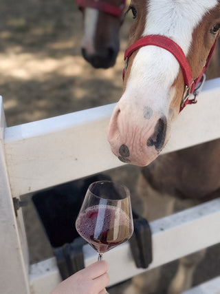 2023 Clyde Red Blend