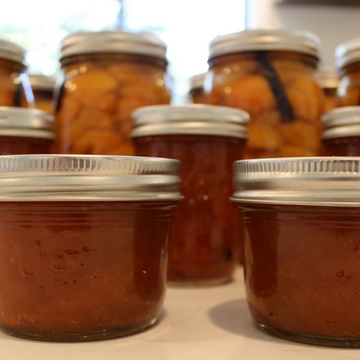 fresh apricot jam canning