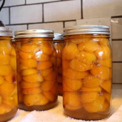 How to make the best apricot preserves
