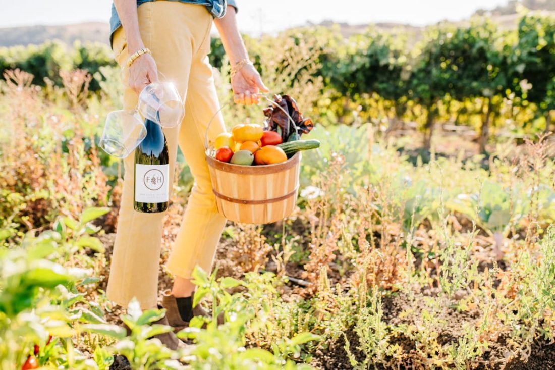 delicious-vegan-wine-and-food-pairings-are-possible-folded-hills