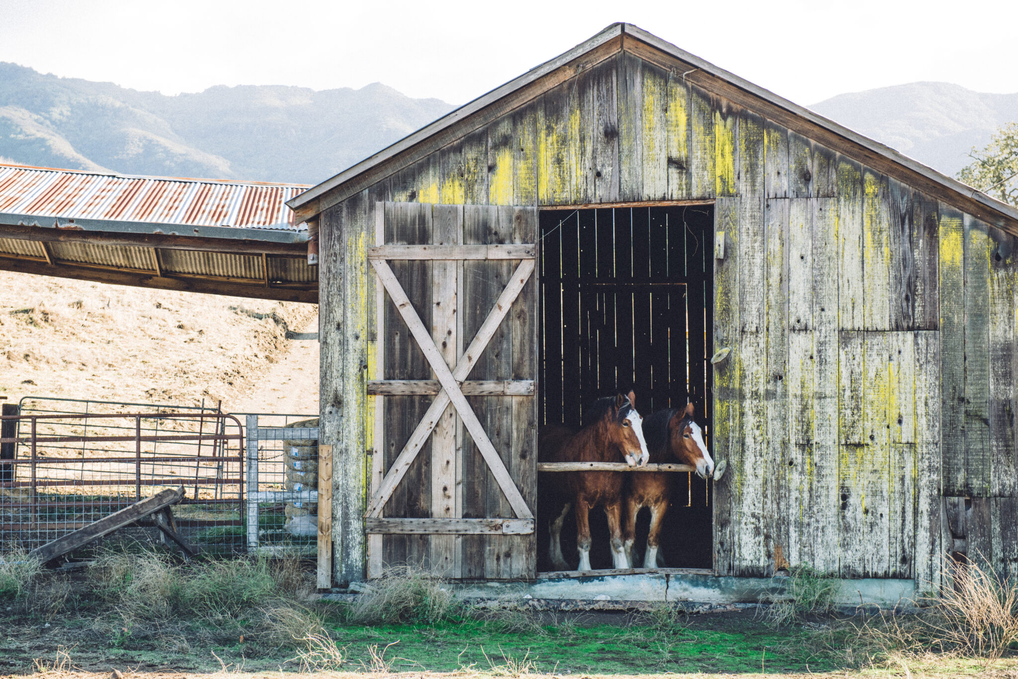 The Story of…our Estate Grenache – and why there’s a barn on the label ...